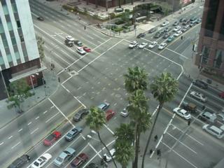 Wilshire at Westwood